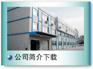 Company profile