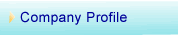 Company Profile